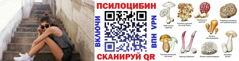 Галлюциногенные грибы Psilocybe  дарнет шоп  Полевской 